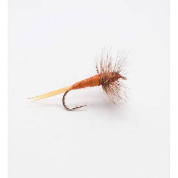 Mouche sèche Stonefly cs82