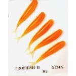 Gambe Perche Trophyfish 2 Eltec Fishing