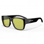 Sur-Lunettes polarisantes Cover Leech